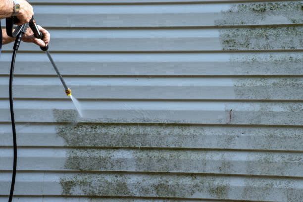 Affordable siding repair and maintenance services in Washington, IA